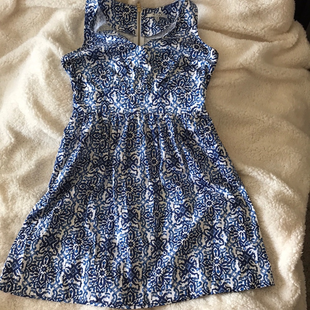 NWOT- Blue and White garden party dress